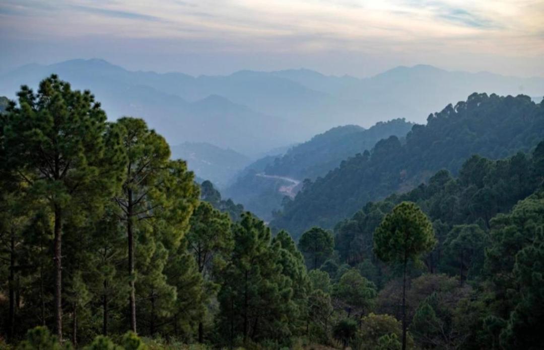 The Kasauli Western Uphills I Serviced Apartments I Pvt Balcony I Peacefull Area I By Exotic Stays 外观 照片