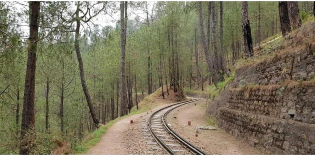 The Kasauli Western Uphills I Serviced Apartments I Pvt Balcony I Peacefull Area I By Exotic Stays 外观 照片